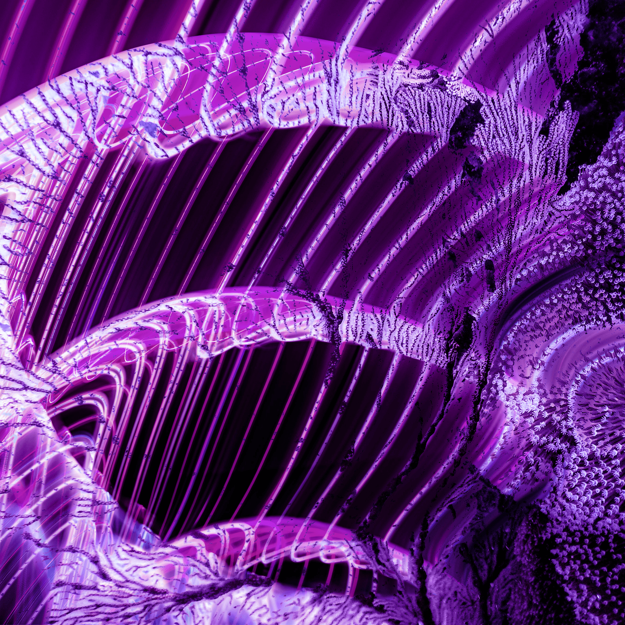 Superhuman Ability on Clinical Imaging